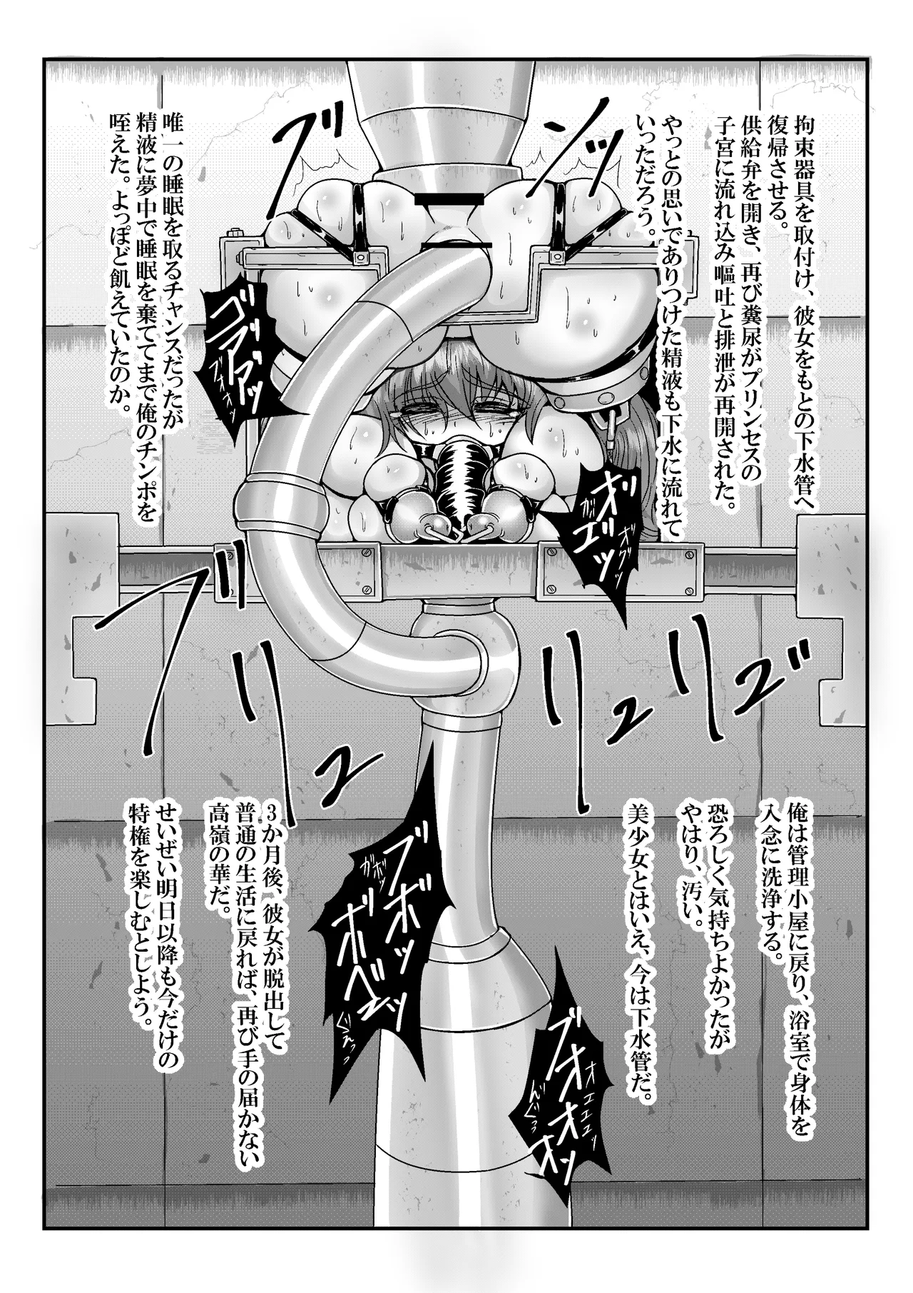 完全拘束脱出マジック!便槽封印されて生還できるのか!? - 11528