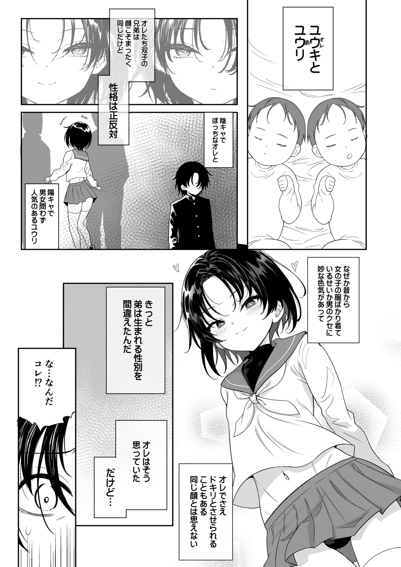 フタゴックスTS兄と男の娘の弟がずこばこヤリまくるハナシ - 31788