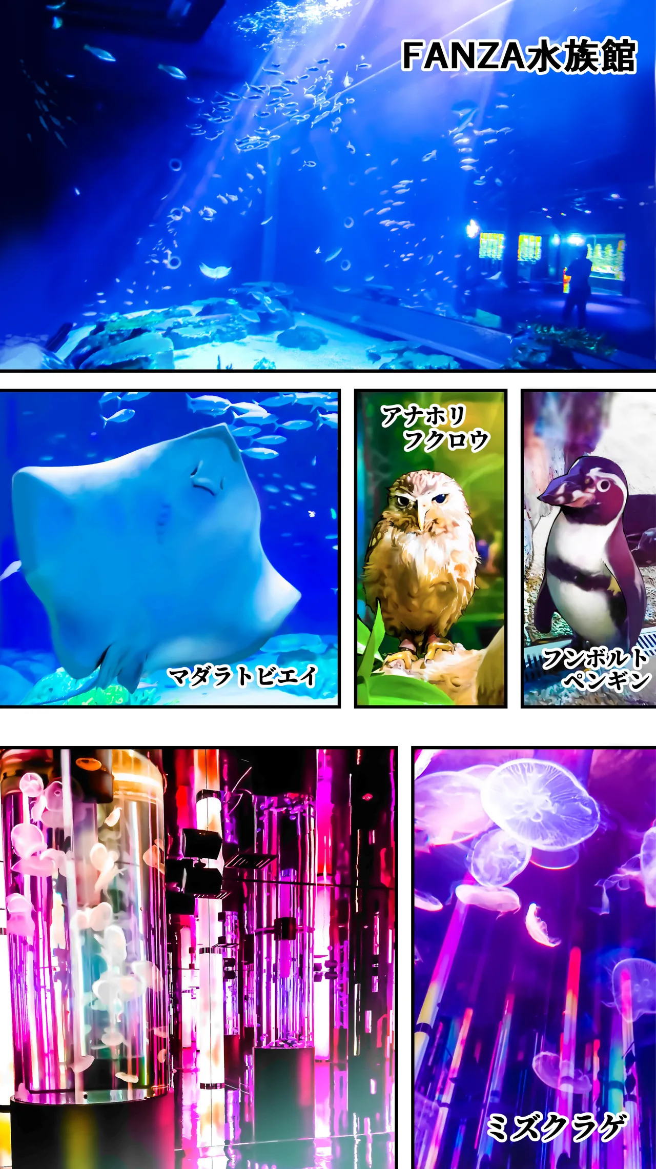 褐色肌版 飯犯トラベラーズ 沖縄集団レ〇プ済 ハーレムひとり旅編 - 44681